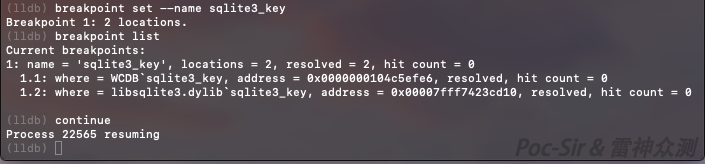Two breakpoints successfully set in LLDB
