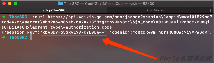 WeChat API returning the session key