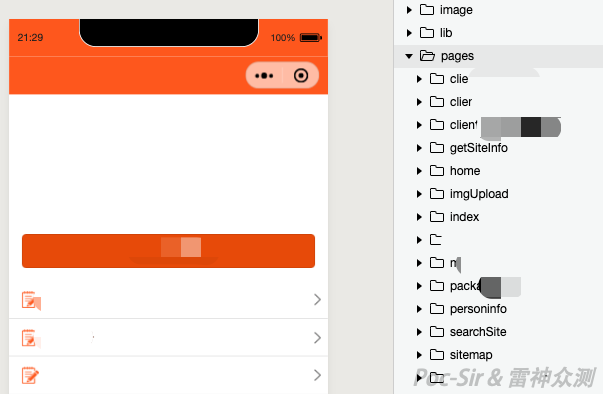 Mini Program's actual content in the Developer Tool